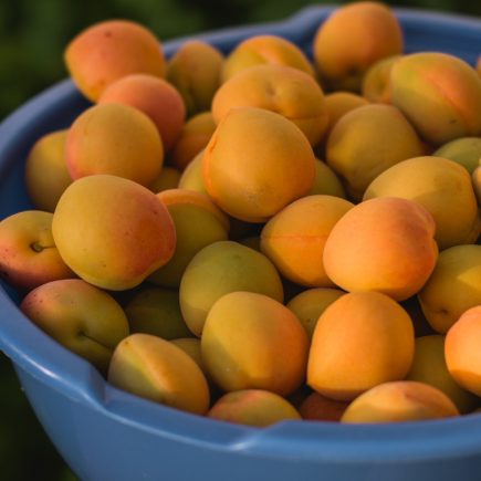 bowl of apricots