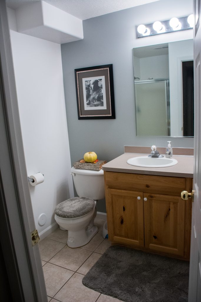 Basement Bathroom Before/After