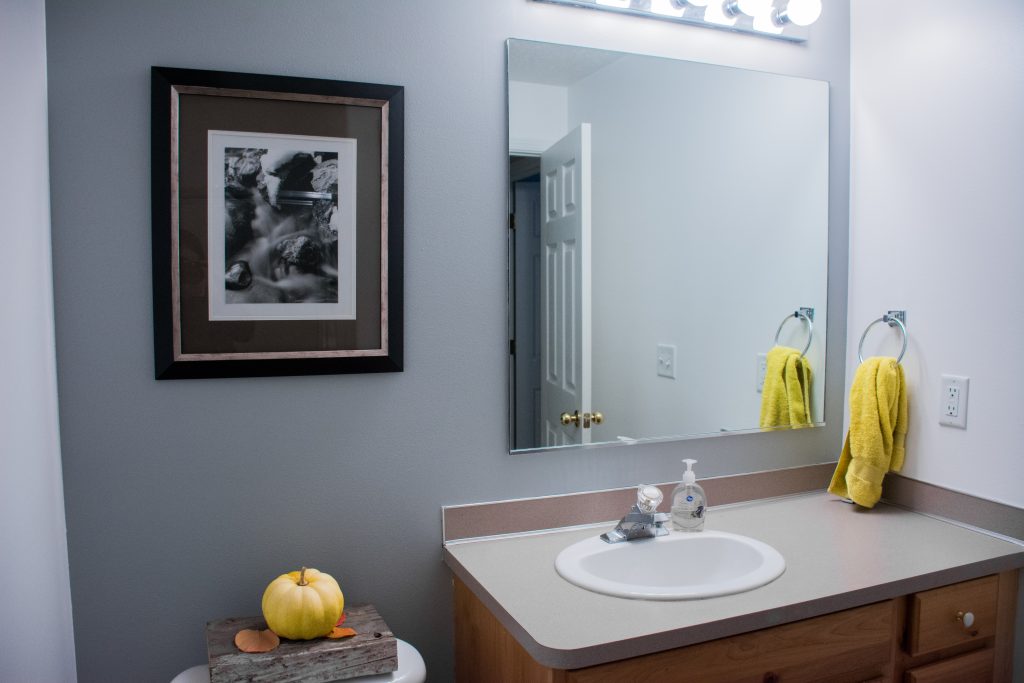 Basement Bathroom Mid-Process Pics + Future Update Ideas
