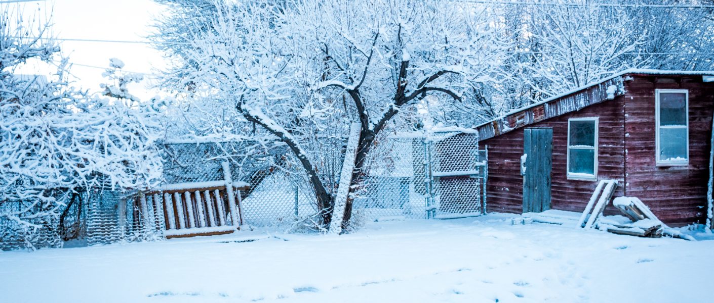 snowy backyard with red chicken coop