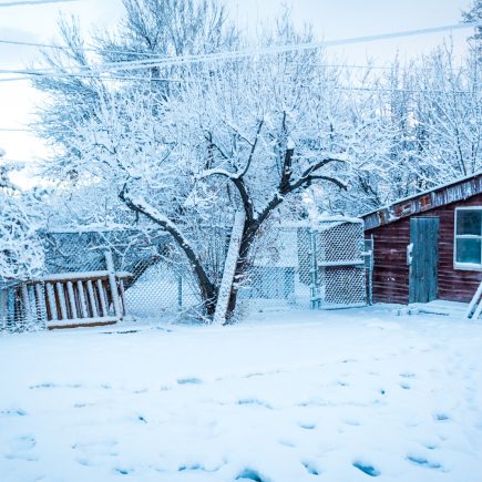 snowy backyard with red chicken coop