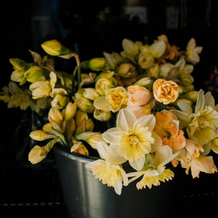 bucket of fancy daffodils