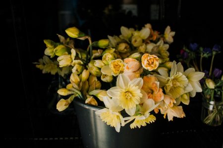 bucket of fancy daffodils