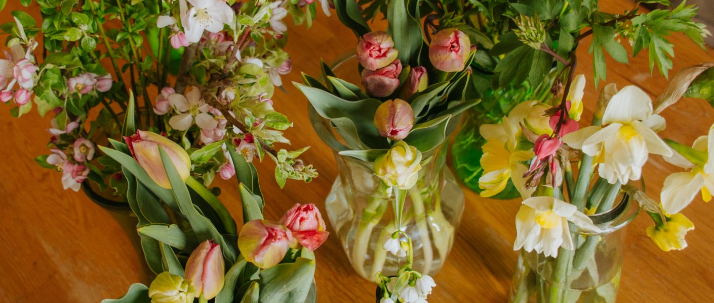 spring flowers ready for arranging