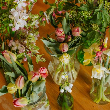 spring flowers ready for arranging