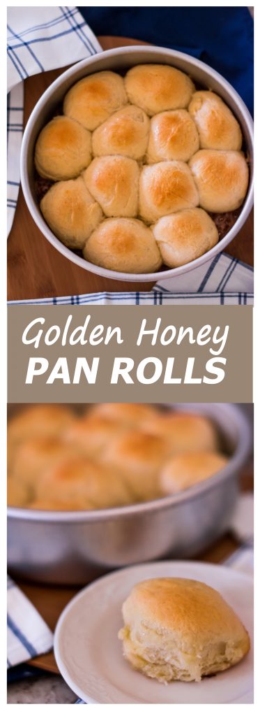 Golden Honey Pan Rolls // A fluffy, sweet dinner roll that takes half the rising time of most yeast breads!