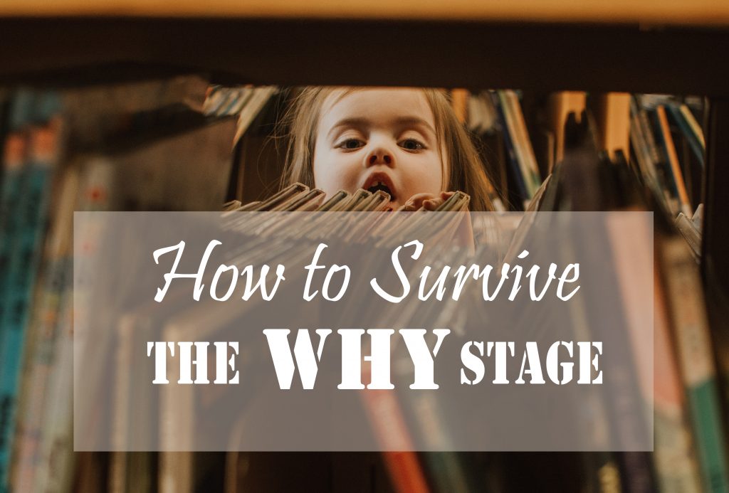 5 Strategies to Help You Keep Your Sanity When Your Preschooler is in the WHY? Stage // To Love and To Learn