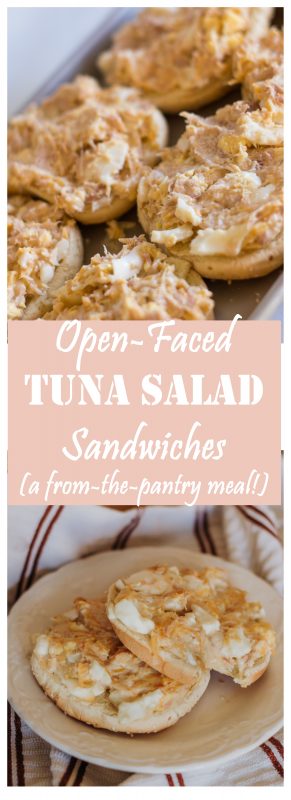 Open-Faced Tuna Sandwiches (a super quick and easy meal using ingredients you're almost sure to have on hand!)